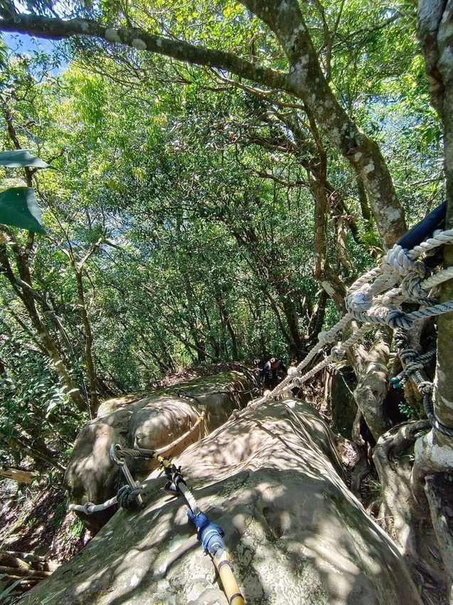 【新北.三峽】五寮尖北部三大岩場之一。克服懼高症最佳挑戰。30公尺峭壁沿路不斷拉繩攀爬+超美稜線