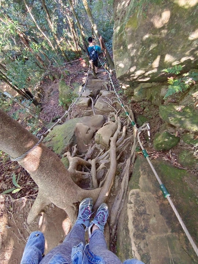 【新北.三峽】五寮尖北部三大岩場之一。克服懼高症最佳挑戰。30公尺峭壁沿路不斷拉繩攀爬+超美稜線