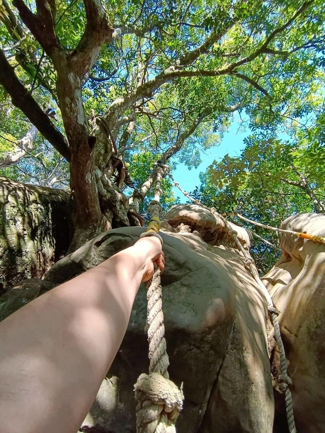 【新北.三峽】五寮尖北部三大岩場之一。克服懼高症最佳挑戰。30公尺峭壁沿路不斷拉繩攀爬+超美稜線