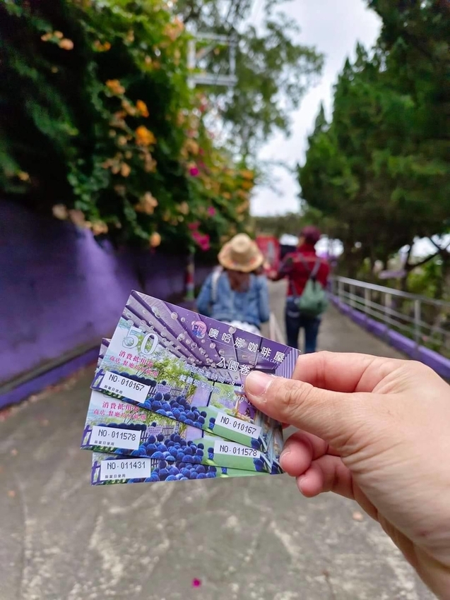 【苗栗.西湖】噢哈娜咖啡屋。夢幻紫色國度紫藤花道+飛天紫傘閨密寫真最佳拍攝地點