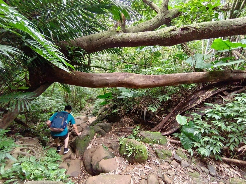 【新北.三峽】五寮尖北部三大岩場之一。克服懼高症最佳挑戰。30公尺峭壁沿路不斷拉繩攀爬+超美稜線