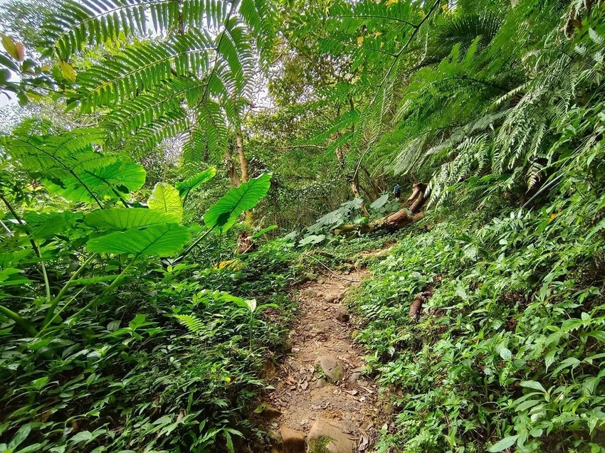 【新北.三峽】五寮尖北部三大岩場之一。克服懼高症最佳挑戰。30公尺峭壁沿路不斷拉繩攀爬+超美稜線