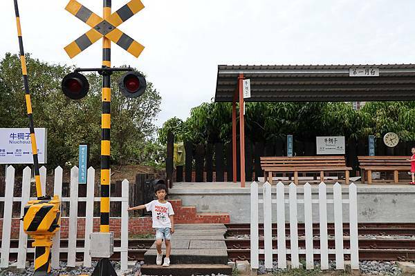 IMG_5446.jpg IMG_5446.jpg