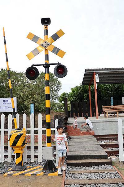 IMG_5409.jpg IMG_5409.jpg