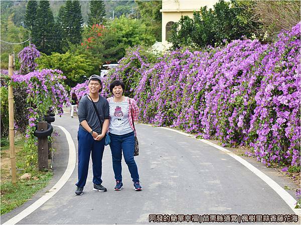 楓樹里蒜香藤花海16-開心的母子倆.JPG