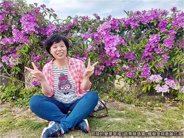 楓樹里蒜香藤花海09-田埂旁席地而坐.jpg