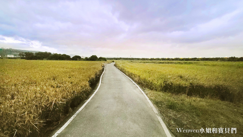 2021熊愛關渡 北投水道文化藝術季 稻草小熊 (11).jpg