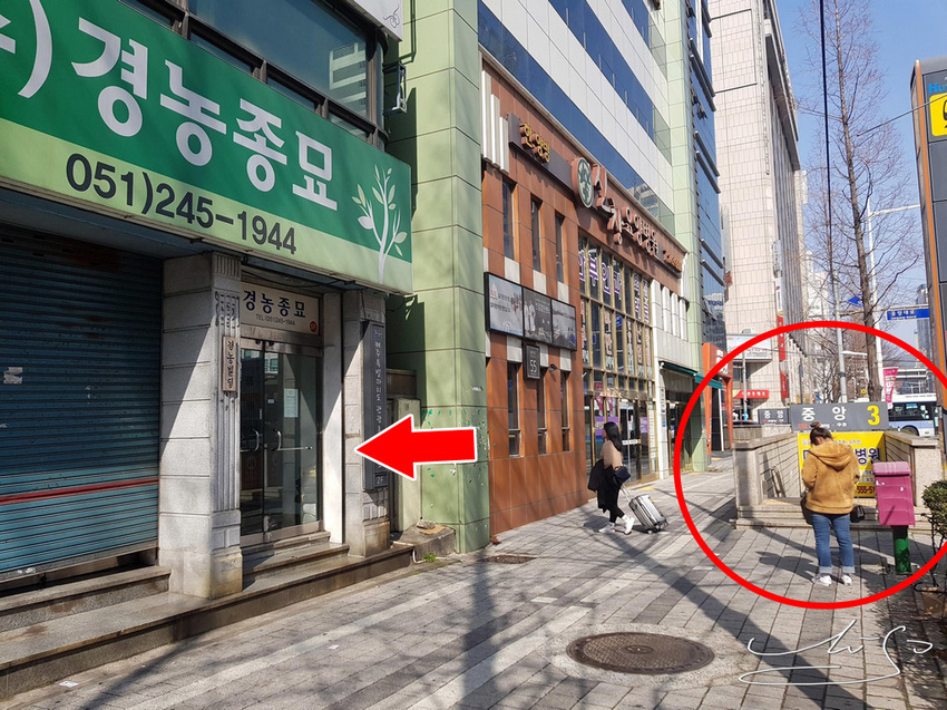 Mint guesthouse (5).jpg