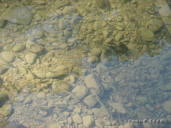 富民親水公園  (15).jpg