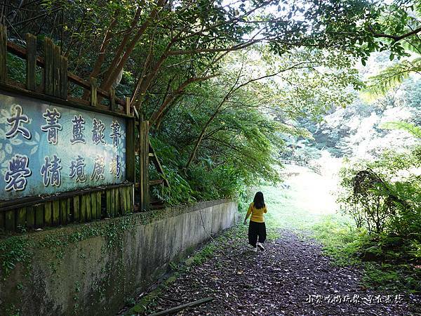 往菁礐情境山路-大菁休閒農場  (1).jpg