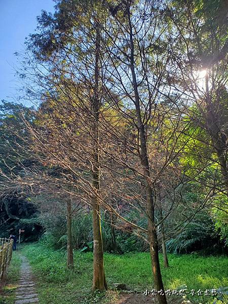 富民親水公園  (4).jpg