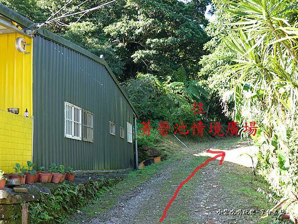 往菁礐情境山路-大菁休閒農場  (2).jpg