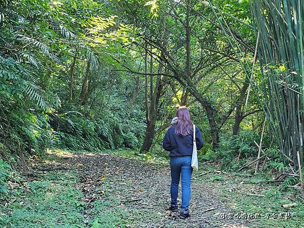往菁礐情境山路-大菁休閒農場  (3).jpg