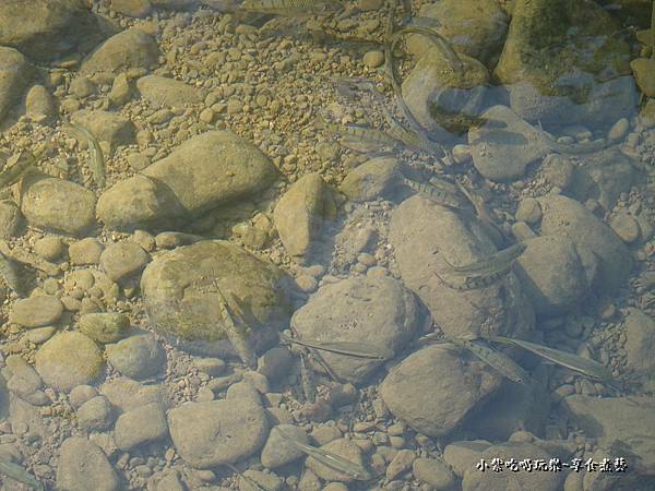 富民親水公園  (16).jpg