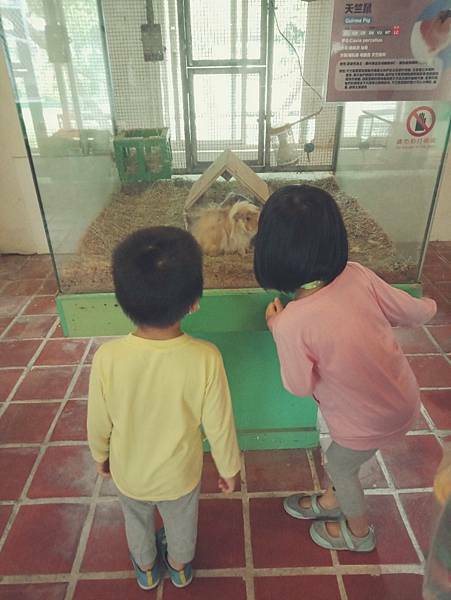 IMG20211120151506.jpg1807350534