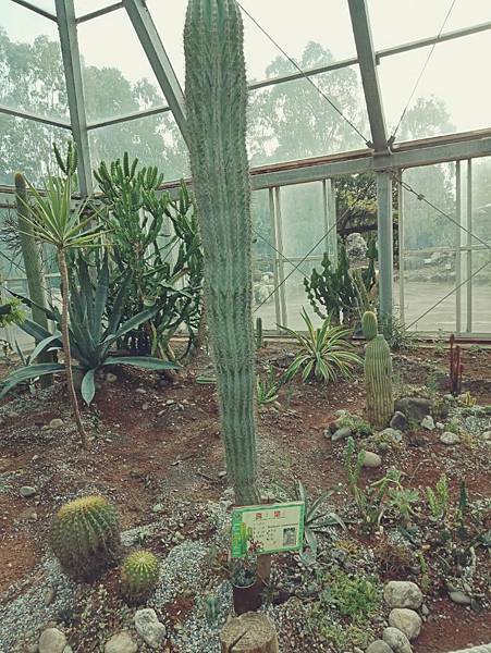 IMG20211120153447.jpg1595502101