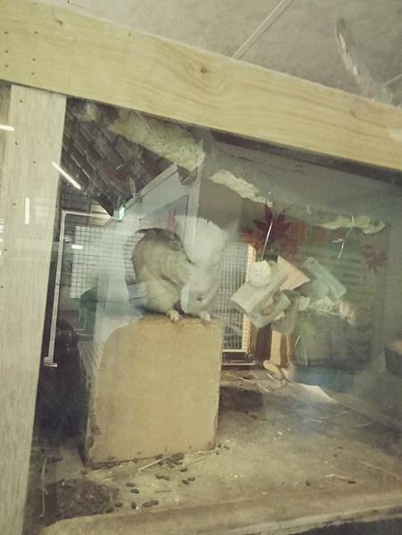 IMG20211120151639.jpg120558494