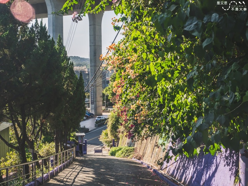 苗栗西湖景點推薦︱欣賞田野好風光 體驗綠色農事 沐浴紫色浪漫