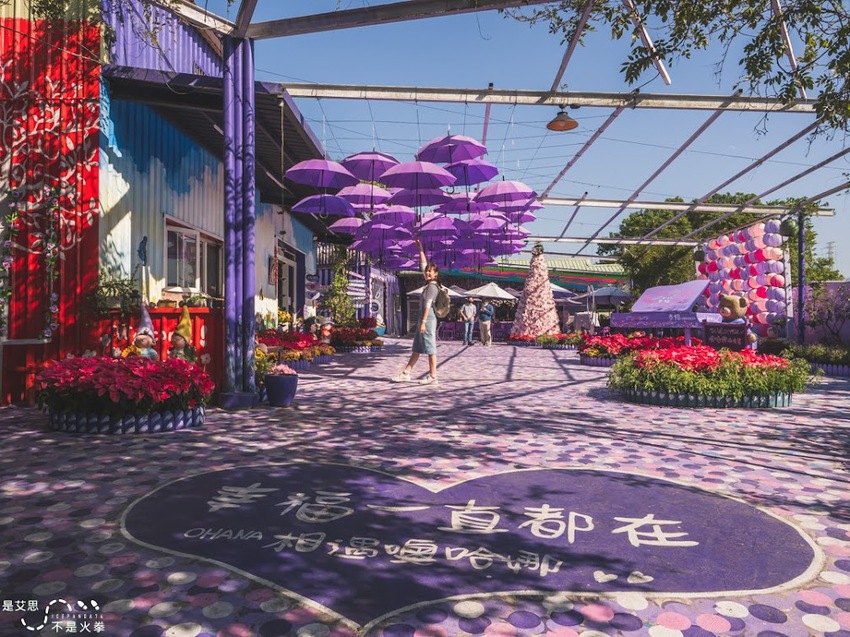 苗栗西湖景點推薦︱欣賞田野好風光 體驗綠色農事 沐浴紫色浪漫