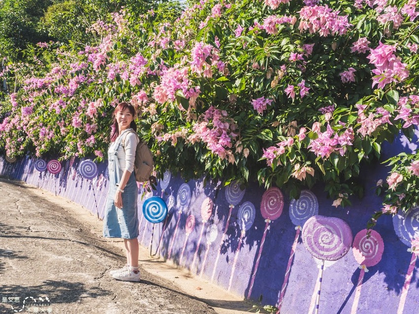 苗栗西湖景點推薦︱欣賞田野好風光 體驗綠色農事 沐浴紫色浪漫