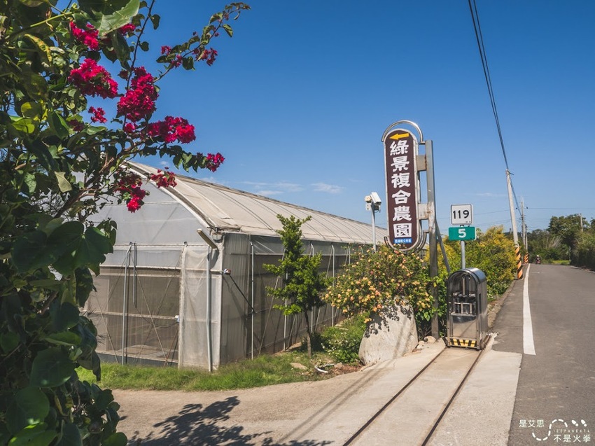 苗栗西湖景點推薦︱欣賞田野好風光 體驗綠色農事 沐浴紫色浪漫