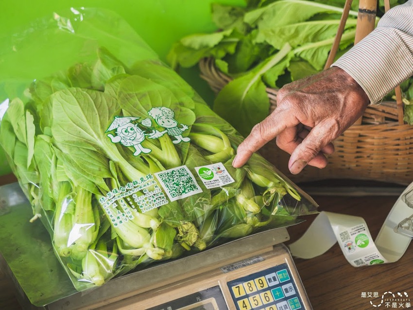 苗栗西湖景點推薦︱欣賞田野好風光 體驗綠色農事 沐浴紫色浪漫