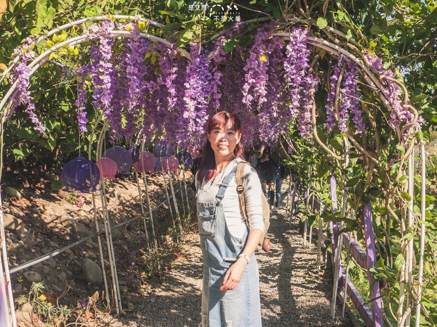 苗栗西湖景點推薦︱欣賞田野好風光 體驗綠色農事 沐浴紫色浪漫