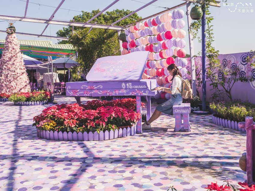 苗栗西湖景點推薦︱欣賞田野好風光 體驗綠色農事 沐浴紫色浪漫