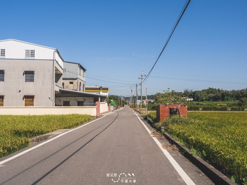 苗栗西湖景點推薦︱欣賞田野好風光 體驗綠色農事 沐浴紫色浪漫