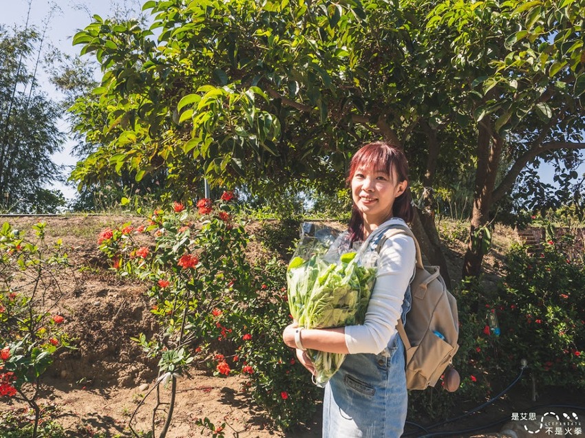 苗栗西湖景點推薦︱欣賞田野好風光 體驗綠色農事 沐浴紫色浪漫
