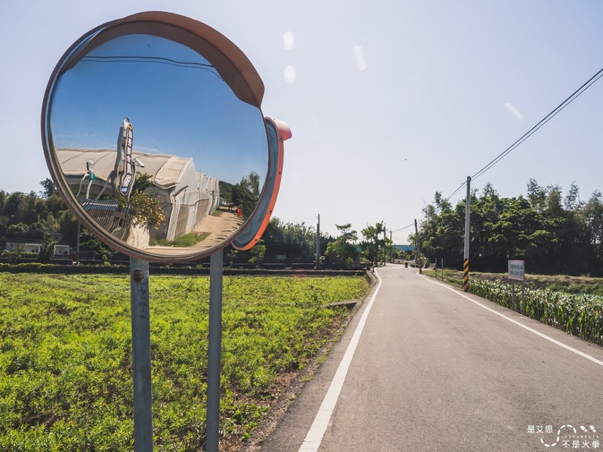 苗栗西湖景點推薦︱欣賞田野好風光 體驗綠色農事 沐浴紫色浪漫