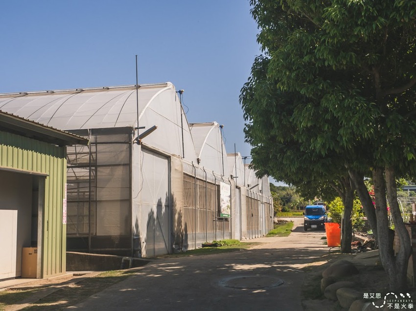 苗栗西湖景點推薦︱欣賞田野好風光 體驗綠色農事 沐浴紫色浪漫