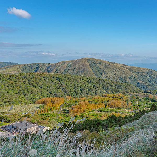 台北 北投區 陽明山(冷水坑、小油坑) 芒草季 9.jpeg