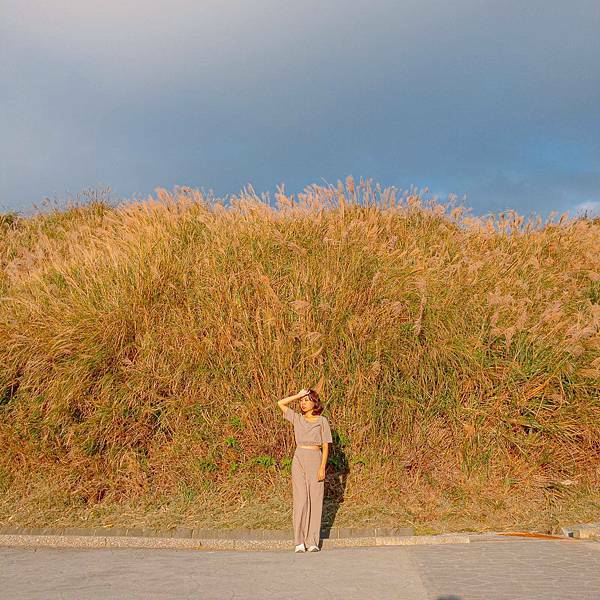 台北 北投區 陽明山(冷水坑、小油坑) 芒草季 19.jpeg