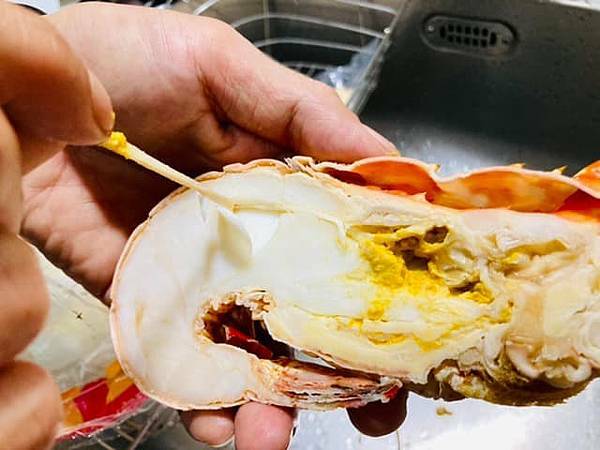 3B72E1DF-F099-4C9B-9277-1F4ED8560E1F.jpeg 3B72E1DF-F099-4C9B-9277-1F4ED8560E1F.jpeg