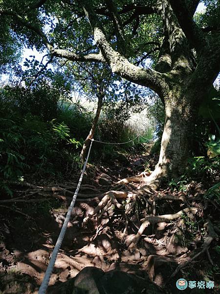 大屯山1    13.png