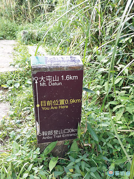 大屯山1    20.png