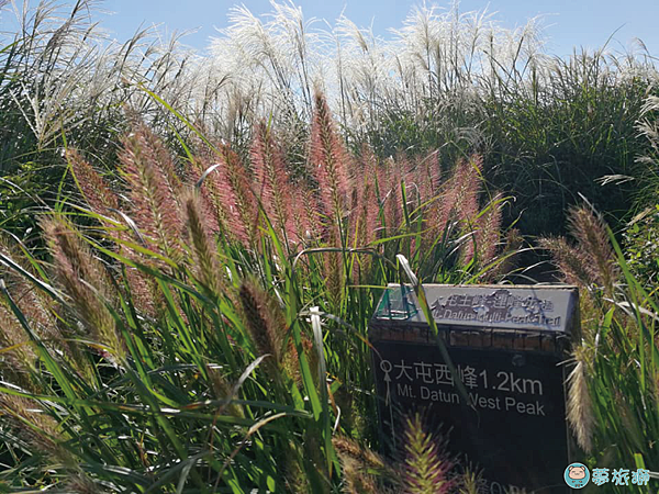 大屯山1    12.png