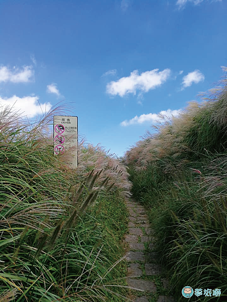 大屯山1    08.png