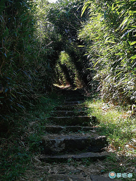 大屯山1    03.png