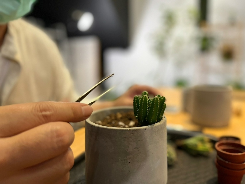 LINE_ALBUM_輝哥 打開森林_211105_7.jpg