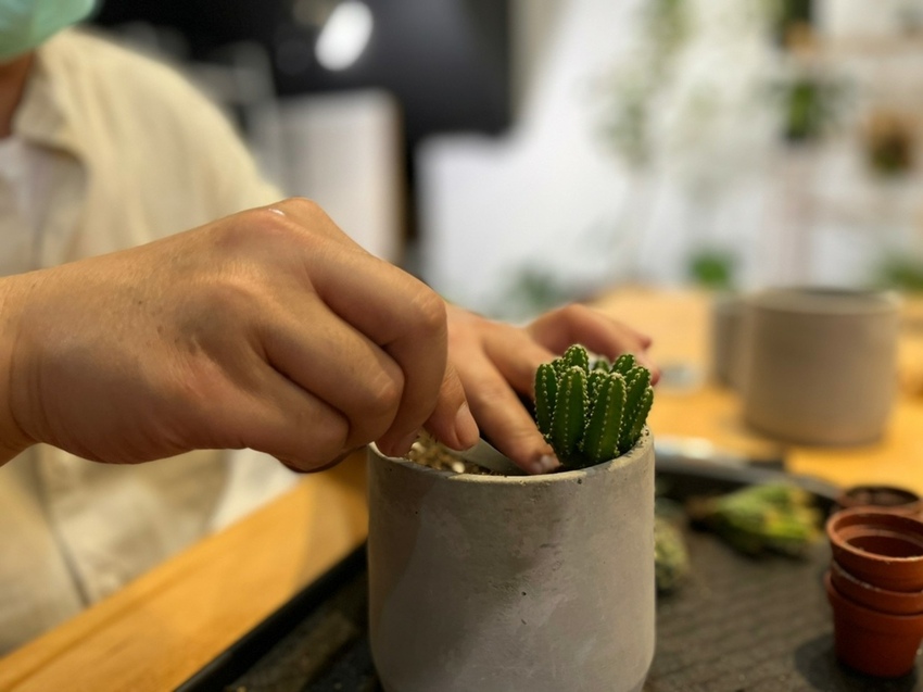 LINE_ALBUM_輝哥 打開森林_211105_5.jpg