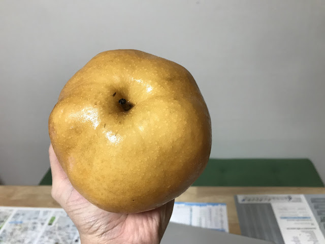 韓國首爾行-望遠市場