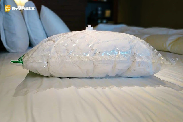 【開箱】VAGO 旅行真空壓縮收納器：收行李的壓縮神器，多出50%行李箱、背包空間！旅行必備、最輕巧真