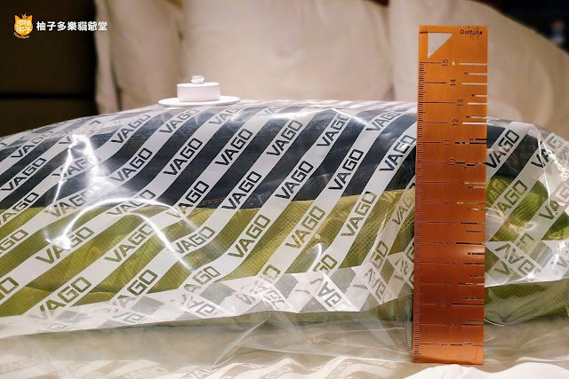 【開箱】VAGO 旅行真空壓縮收納器：收行李的壓縮神器，多出50%行李箱、背包空間！旅行必備、最輕巧真