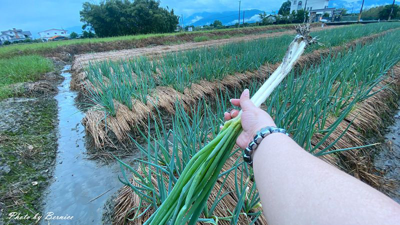 1026 2-Play威斯汀18.jpg