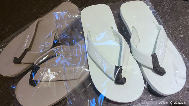 1027 威斯汀19.jpg