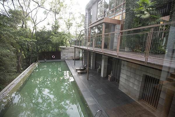 苗栗樹也2021年11月 - 76