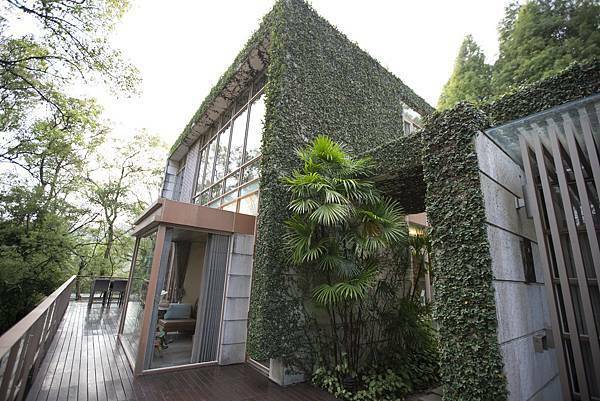 苗栗樹也2021年11月 - 55