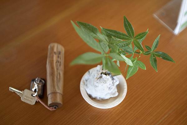 苗栗樹也2021年11月 - 3